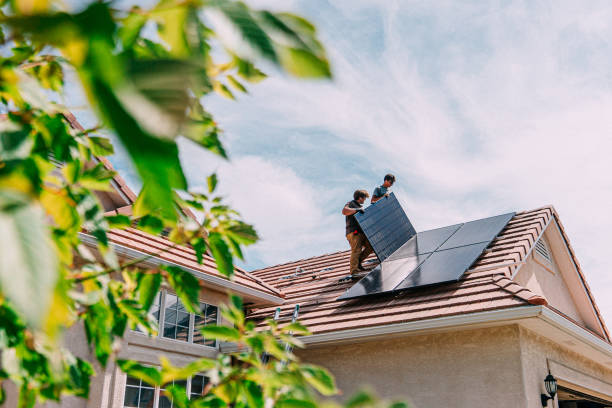 Best Roof Gutter Cleaning  in West Frankfort, IL